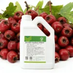 hawthorn fruit flavoring for industrial food production